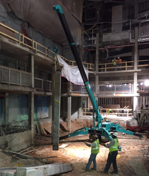 Grue araignée MAEDA levant durant l'installation de Le Georgia Aquarium d'Atlanta, Georgia