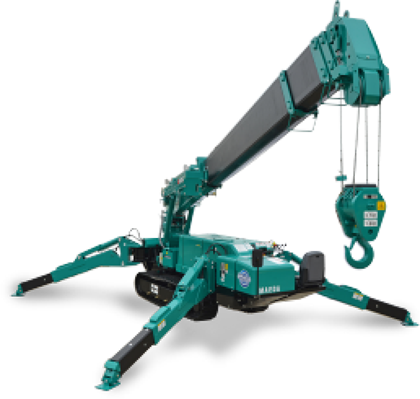 GRUE ARAIGNÉE MAEDA